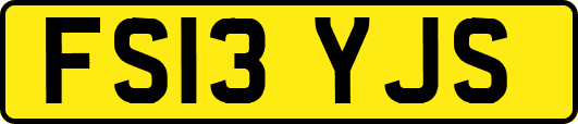 FS13YJS