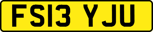 FS13YJU