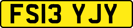 FS13YJY