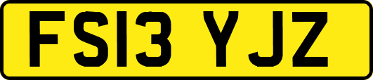 FS13YJZ