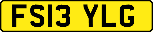 FS13YLG