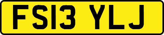 FS13YLJ