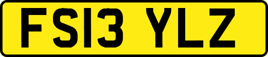 FS13YLZ