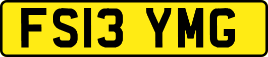 FS13YMG