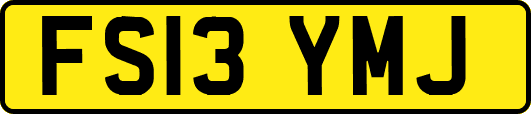 FS13YMJ