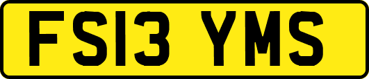 FS13YMS