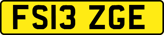 FS13ZGE