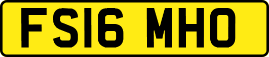 FS16MHO