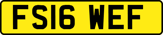 FS16WEF