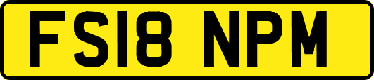 FS18NPM