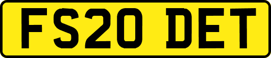 FS20DET