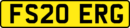 FS20ERG