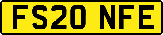 FS20NFE