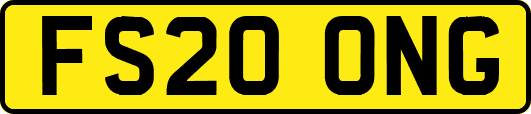 FS20ONG
