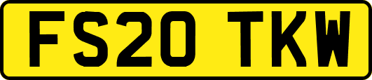 FS20TKW