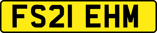 FS21EHM