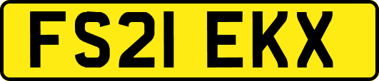 FS21EKX