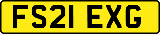FS21EXG