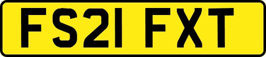 FS21FXT