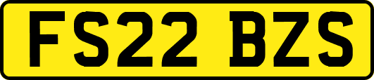 FS22BZS