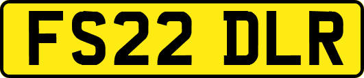 FS22DLR