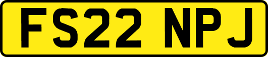 FS22NPJ