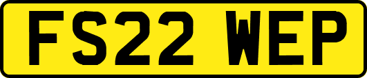 FS22WEP
