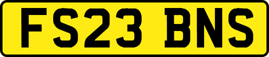 FS23BNS