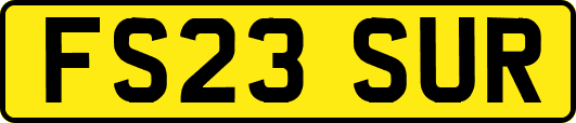 FS23SUR