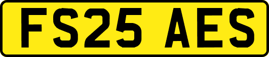 FS25AES