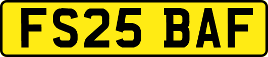 FS25BAF