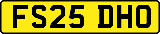 FS25DHO