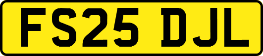 FS25DJL