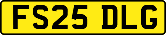 FS25DLG