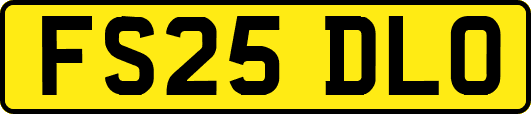FS25DLO