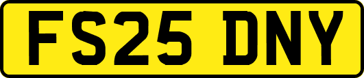 FS25DNY