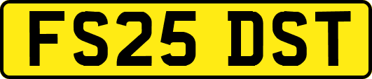 FS25DST