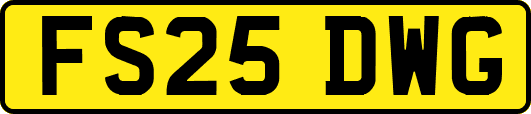 FS25DWG