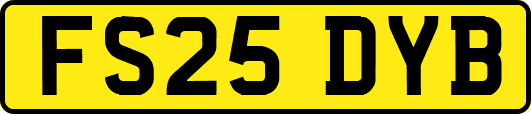 FS25DYB