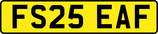 FS25EAF