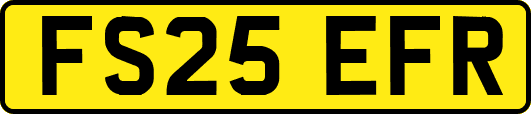 FS25EFR