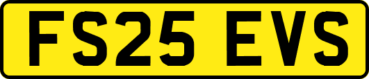 FS25EVS