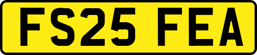 FS25FEA