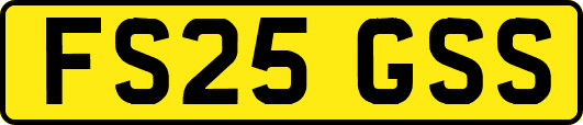 FS25GSS