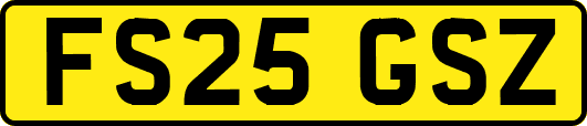 FS25GSZ