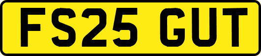 FS25GUT