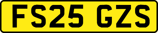 FS25GZS