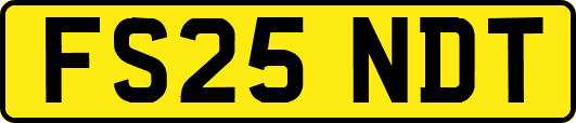 FS25NDT