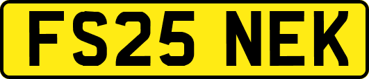 FS25NEK