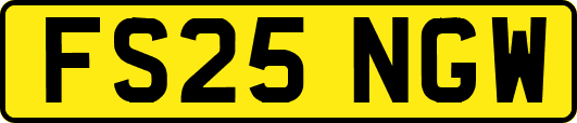FS25NGW